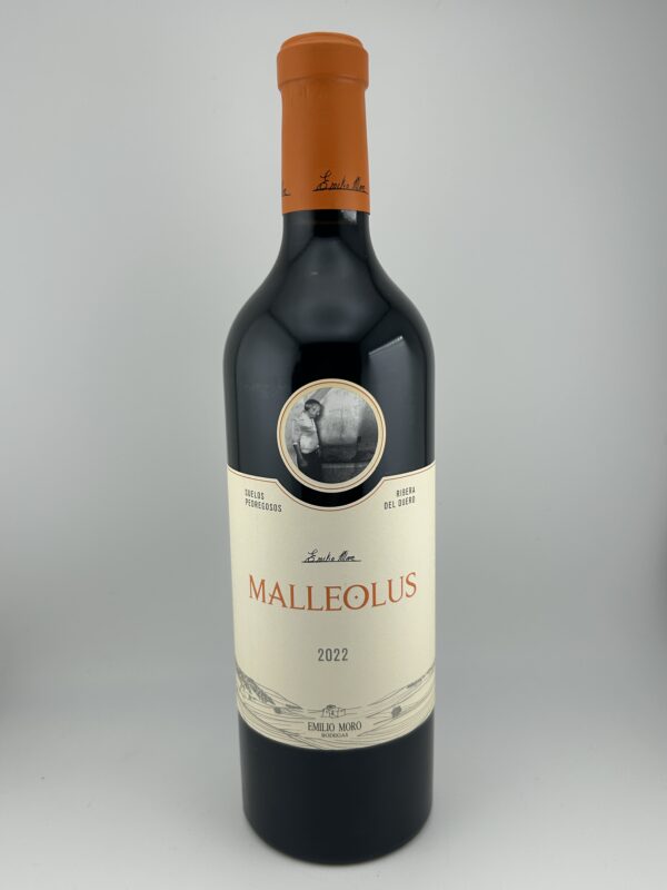 Malleolus Emilio Moro