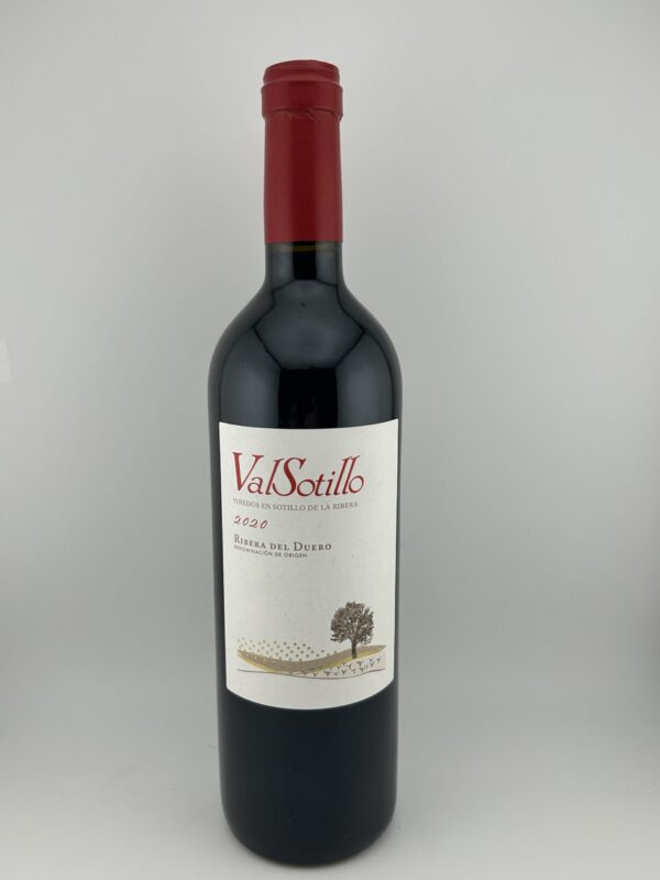 Bodegas Ismael Arroyo ValSotillo Roble