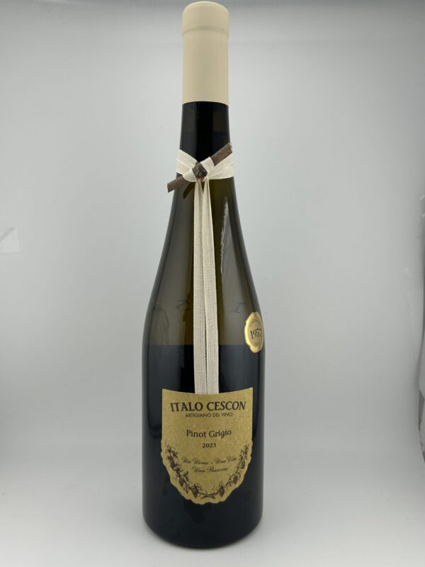 Italo Cescon Pinot Grigio Friuli Il Tralcetto