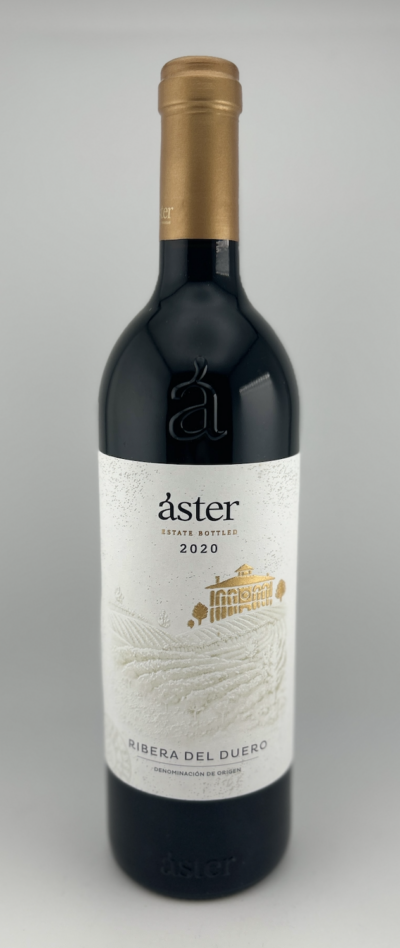 Aster Crianza