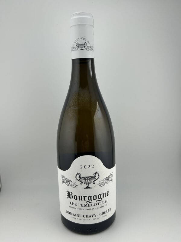 Domaine Chavy - Chouet “Les Femelottes” Bourgogne Blanc