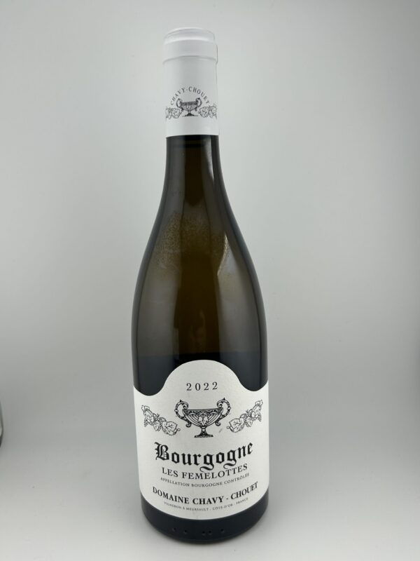 Domaine Chavy - Chouet “Les Femelottes” Bourgogne Blanc