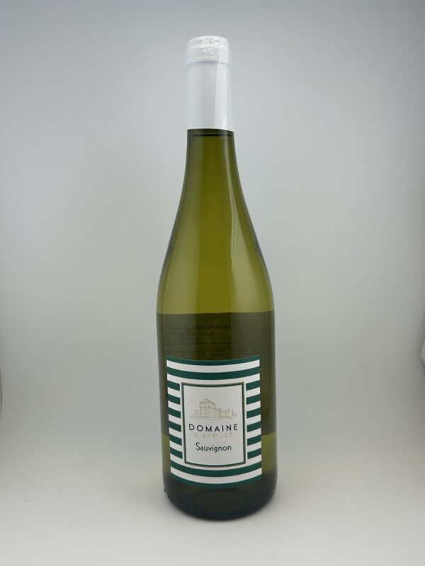 Domaine D'Avrille Sauvignon