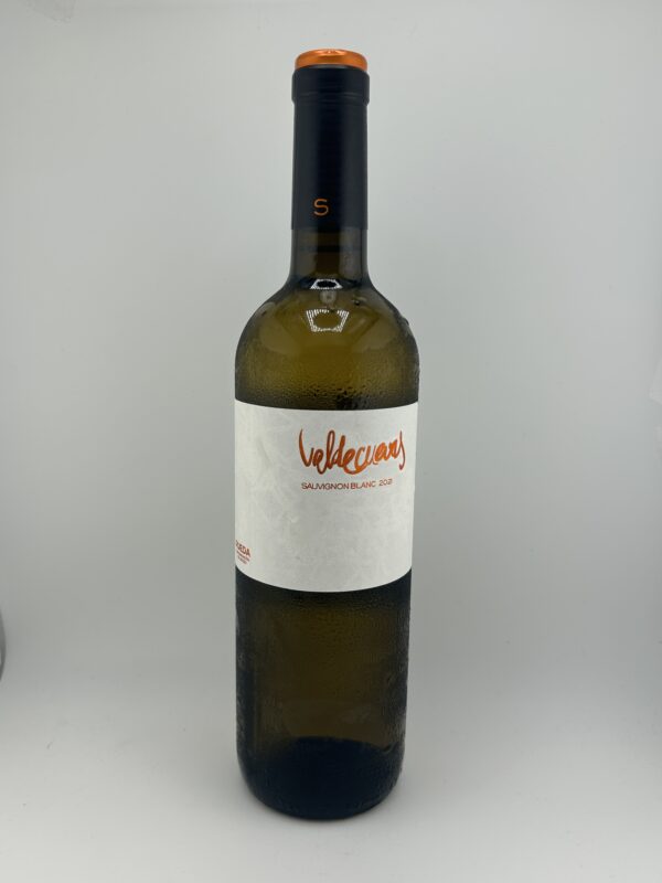 Valdecuevas Sauvignon Blanc
