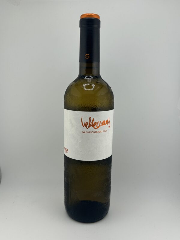 Valdecuevas Sauvignon Blanc