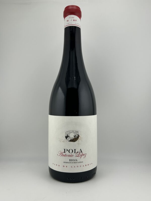 Pola Antonio Lopez Crianza