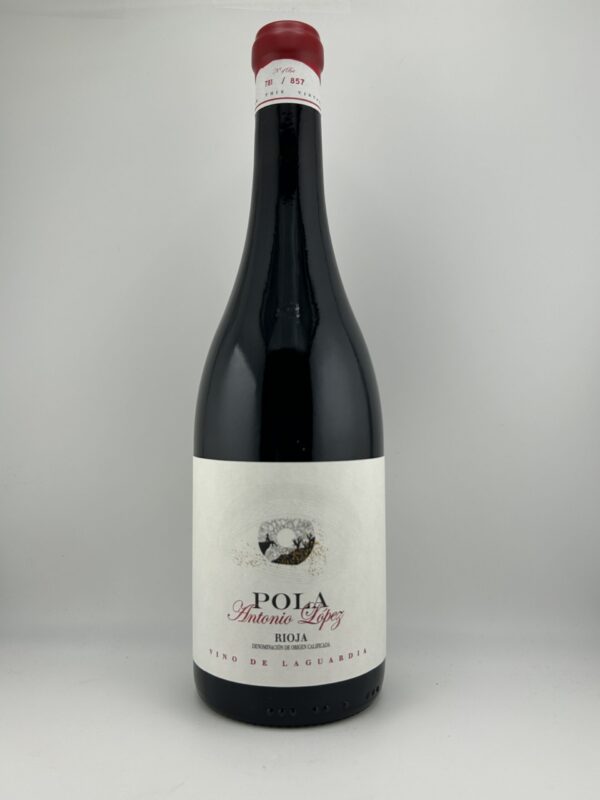 Pola Antonio Lopez Crianza