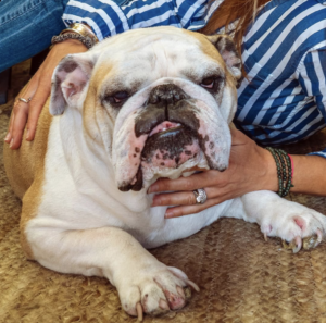 Screenshot 2026-03-15 at 8.17.18 PM